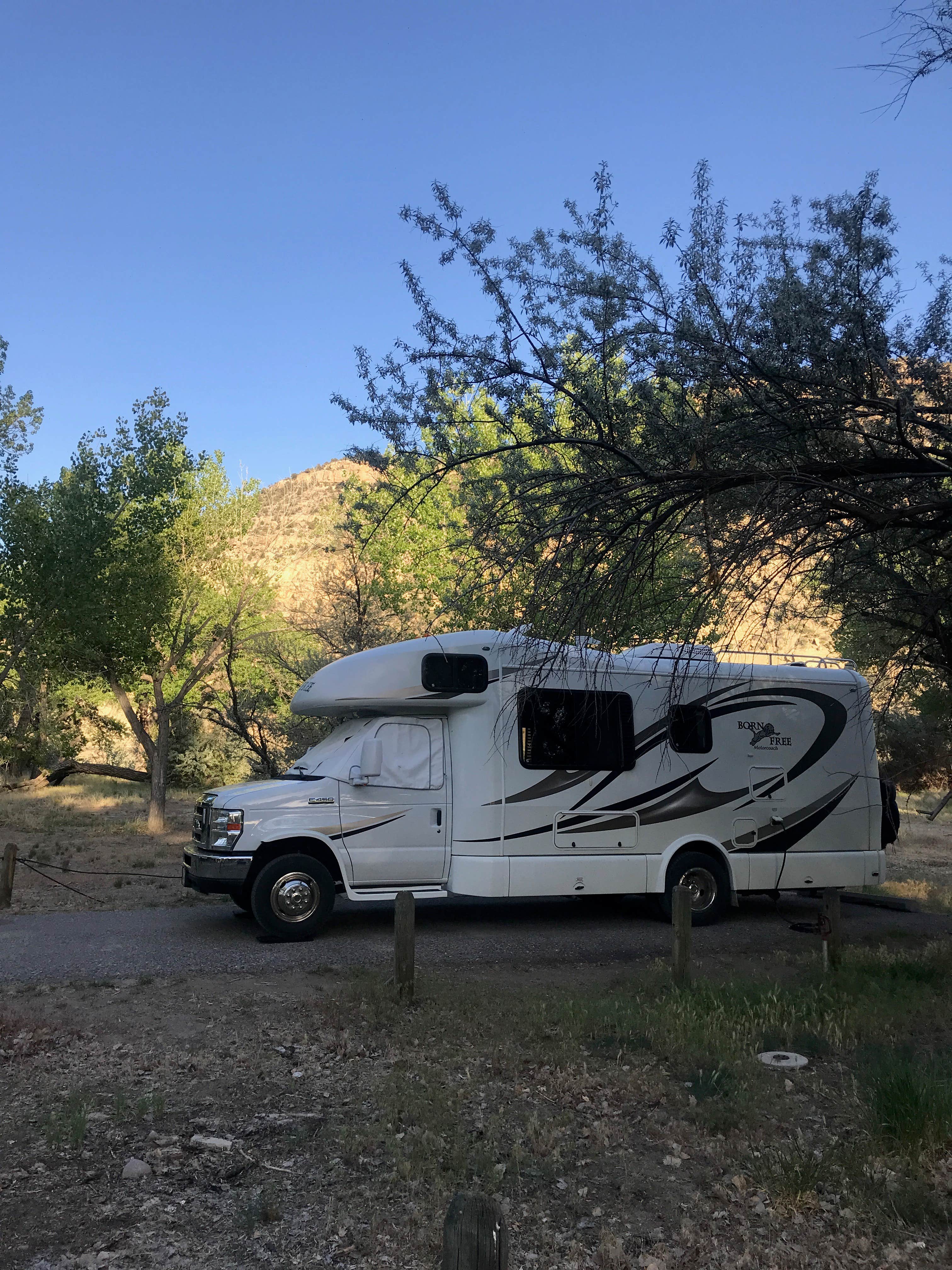 Camper-submitted photo at Cottonwood Campground — Navajo Lake State Park near Navajo Dam, NM