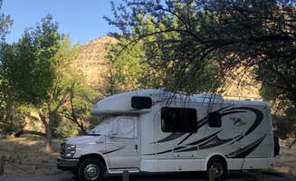 Susan L.'s photo of rv camping at Cottonwood Campground — Navajo Lake State Park near Counselor, NM