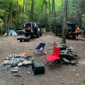 Review photo of Hurricane Creek Camp by Noskiz , June 25, 2022