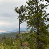 Review photo of West Magnolia Campground by Aneece D., June 3, 2022