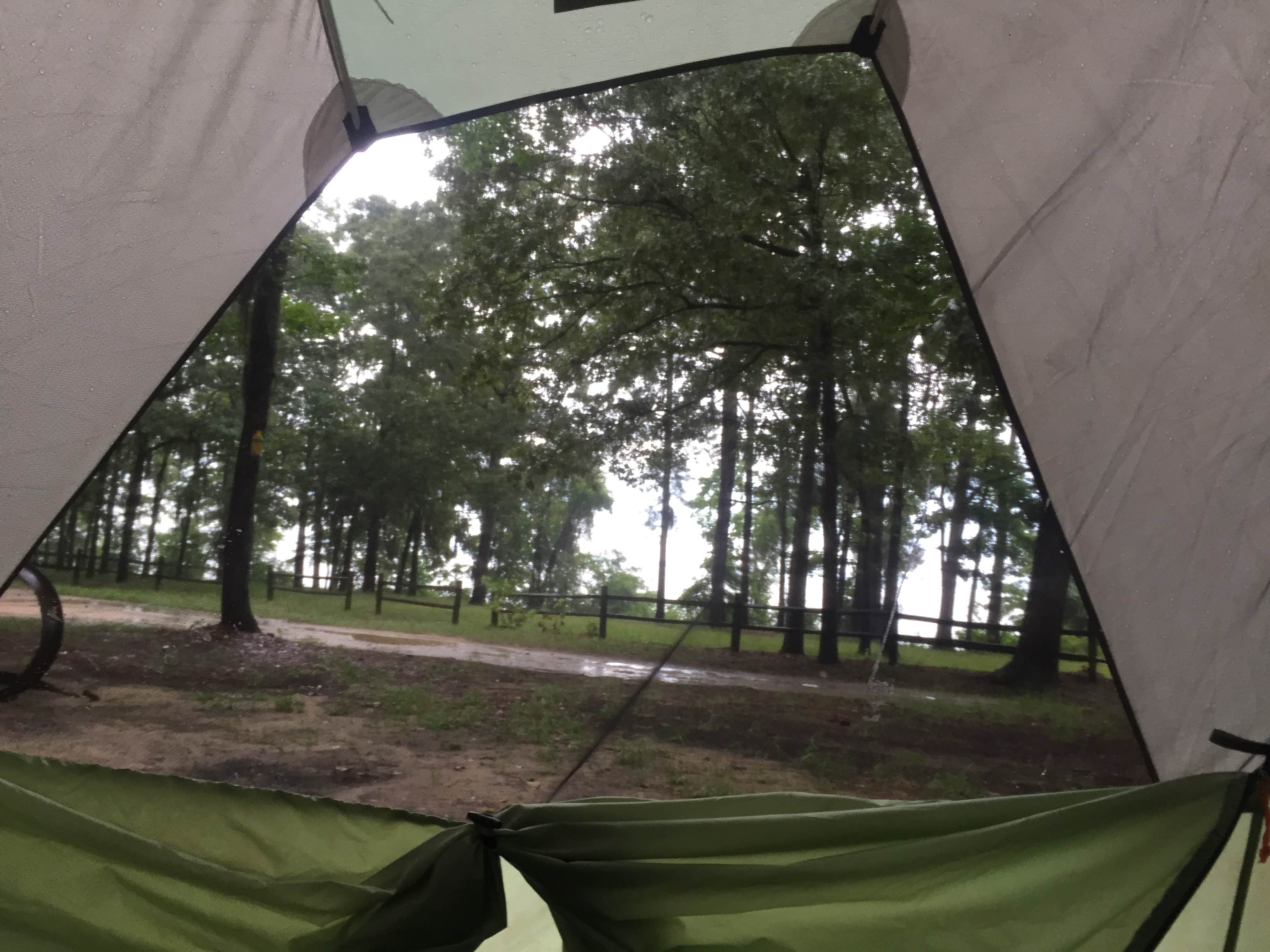 Whitney M.'s photo at Cypress View Campground — Santee State Park in South Carolina