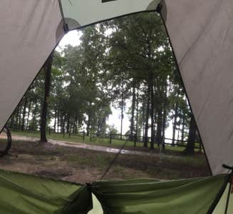 Camper-submitted photo from Cypress View Campground — Santee State Park