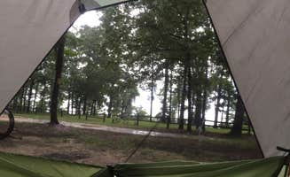 Whitney M.'s photo at Cypress View Campground — Santee State Park in South Carolina