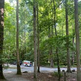 Review photo of Big Creek Campground — Great Smoky Mountains National Park by Sarah V., June 25, 2022