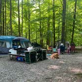 Review photo of Big Creek Campground — Great Smoky Mountains National Park by Sarah V., June 25, 2022