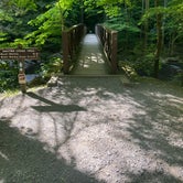 Review photo of Big Creek Campground — Great Smoky Mountains National Park by Sarah V., June 25, 2022