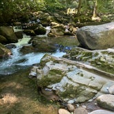 Review photo of Big Creek Campground — Great Smoky Mountains National Park by Sarah V., June 25, 2022