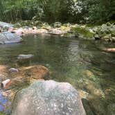 Review photo of Big Creek Campground — Great Smoky Mountains National Park by Sarah V., June 25, 2022