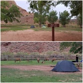 Review photo of Fruita Campground by Mary S., July 16, 2018
