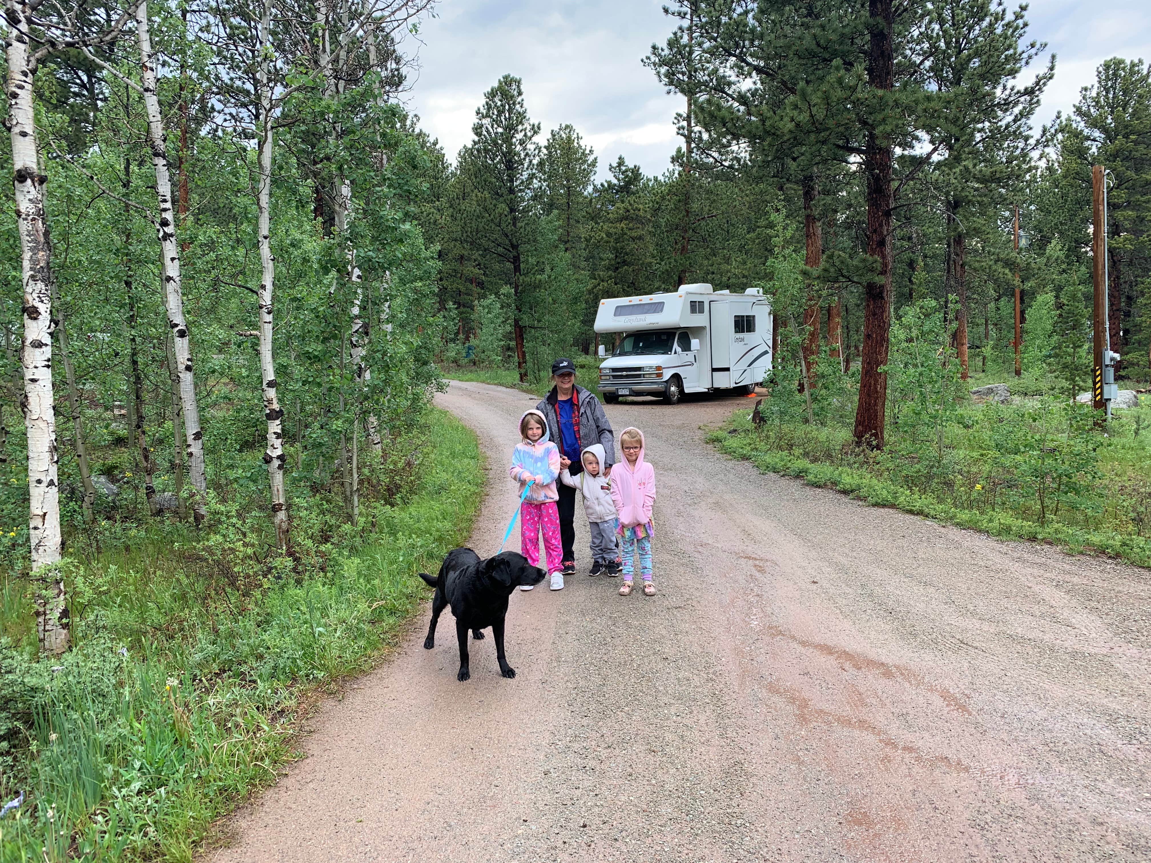 Ryszard T.'s photo of camping with pets at Olive Ridge near Arapaho and Roosevelt National Forests and Pawnee National Grassland