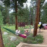 Review photo of Olive Ridge by Ryszard T., June 25, 2022