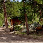 Review photo of Yogi Bear's Jellystone Park at Estes Park by Ryszard T., June 25, 2022