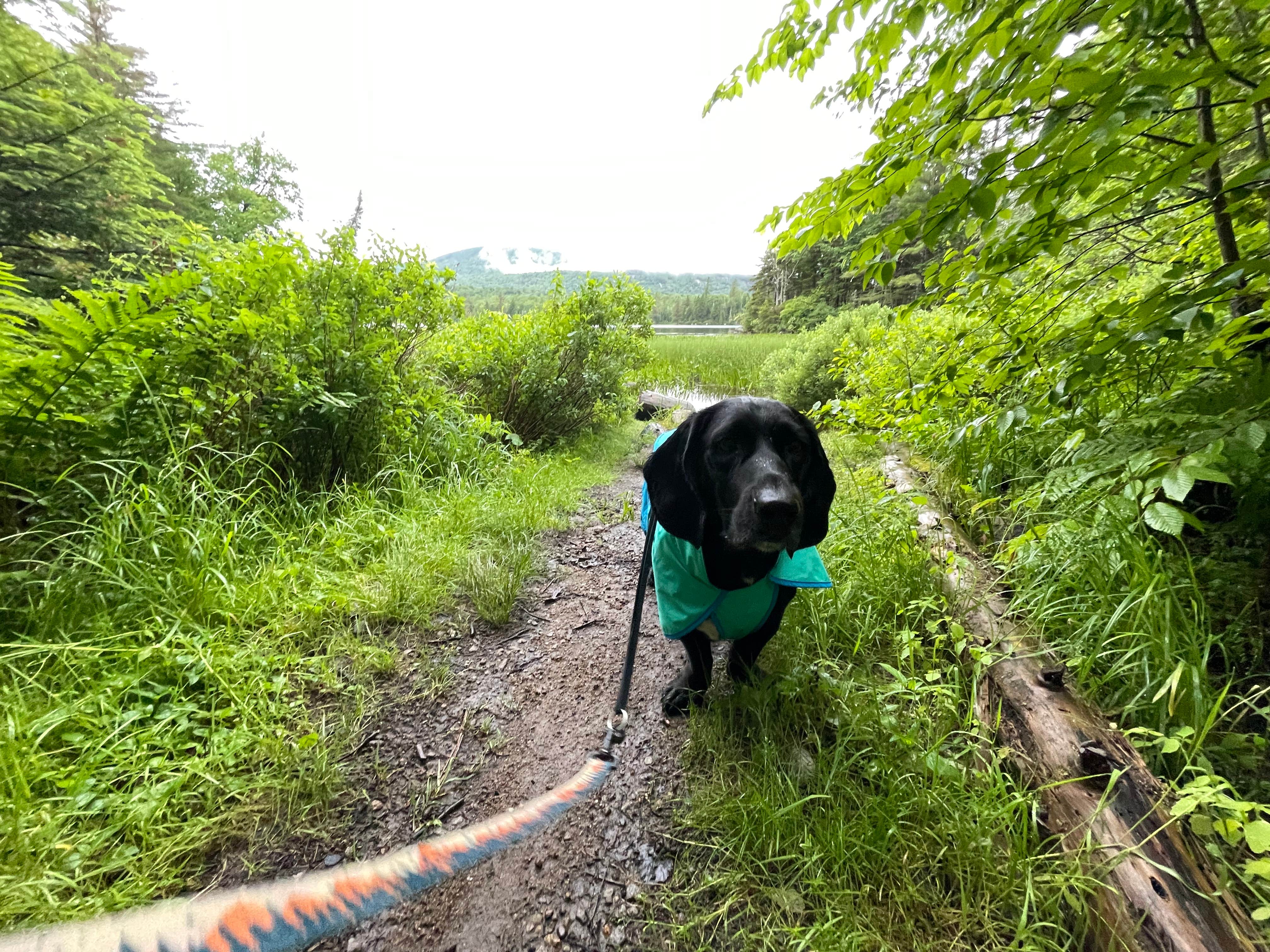 Camper-submitted photo at Lake Durant Campground near Blue Mountain Lake, NY