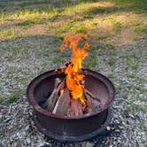 Review photo of Charlottesville KOA by Stephanie H., June 25, 2022