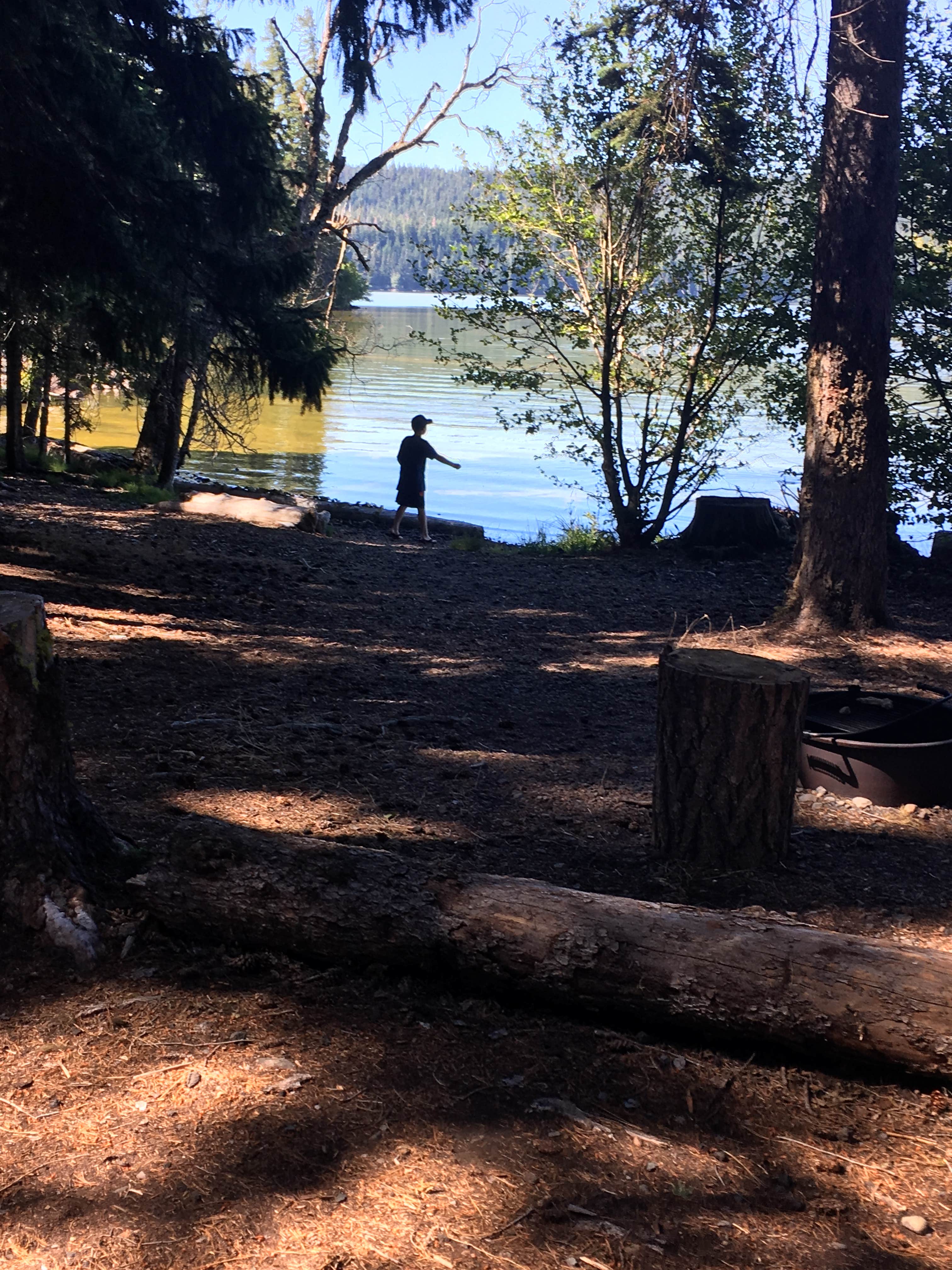 Camper submitted image from Sunset Cove Campground - 2