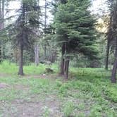 Review photo of Slide Creek Campground by Erin N., June 25, 2022