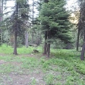 Review photo of Slide Creek Campground by Erin N., June 25, 2022