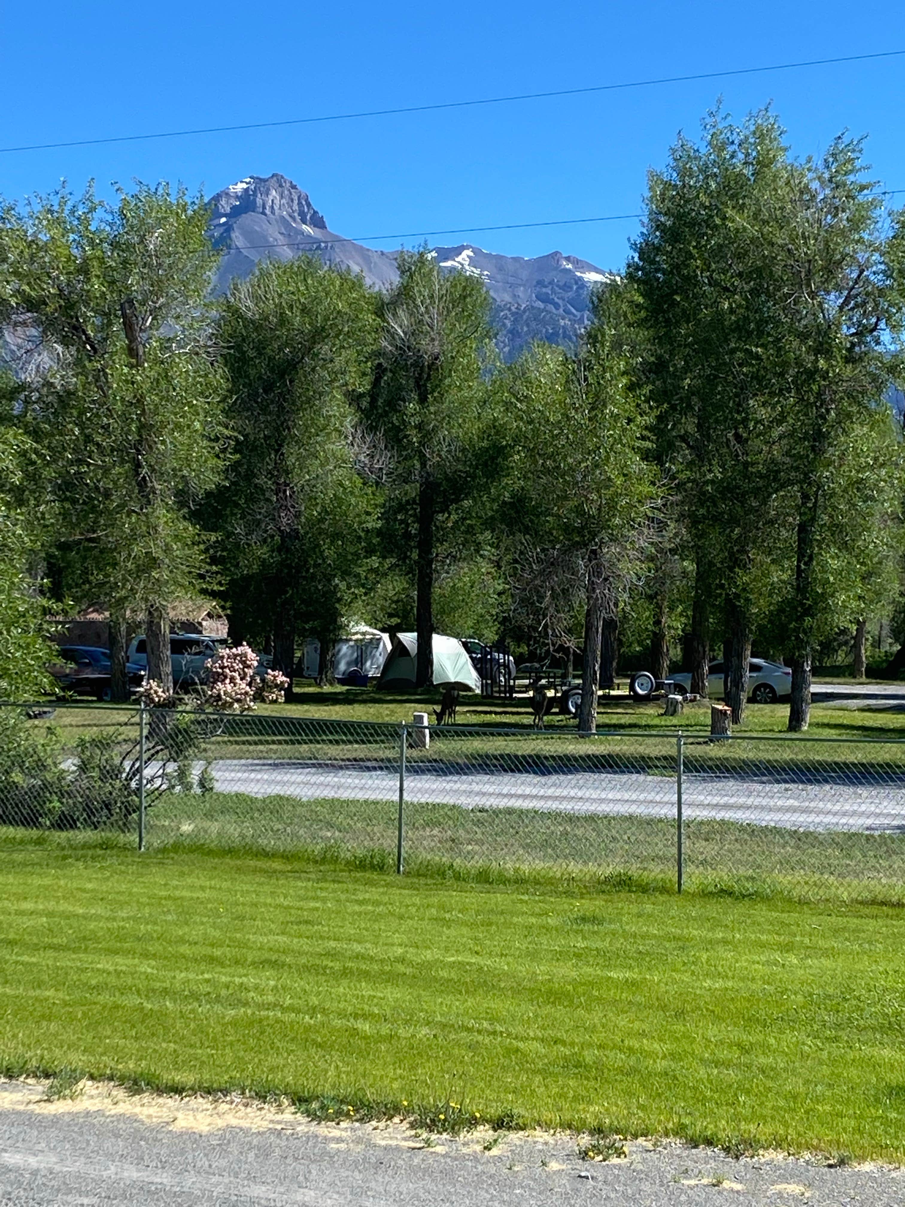 Lori's photo at Mackay Tourist Park in Idaho