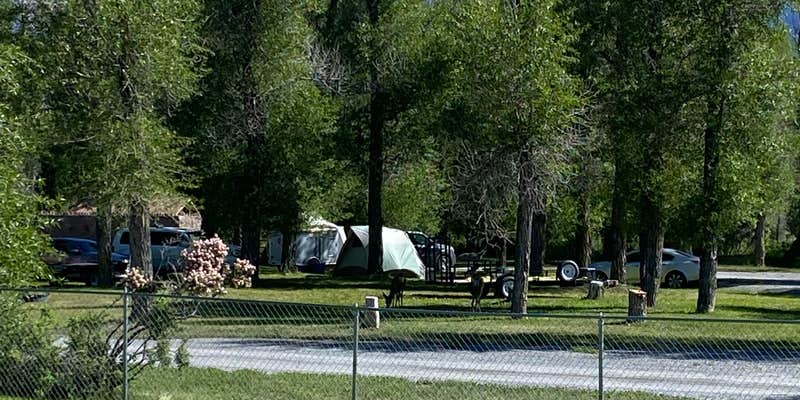 Camper submitted image from Mackay Tourist Park