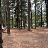 Review photo of Evergreen Lake Campground by Luis B., June 25, 2022