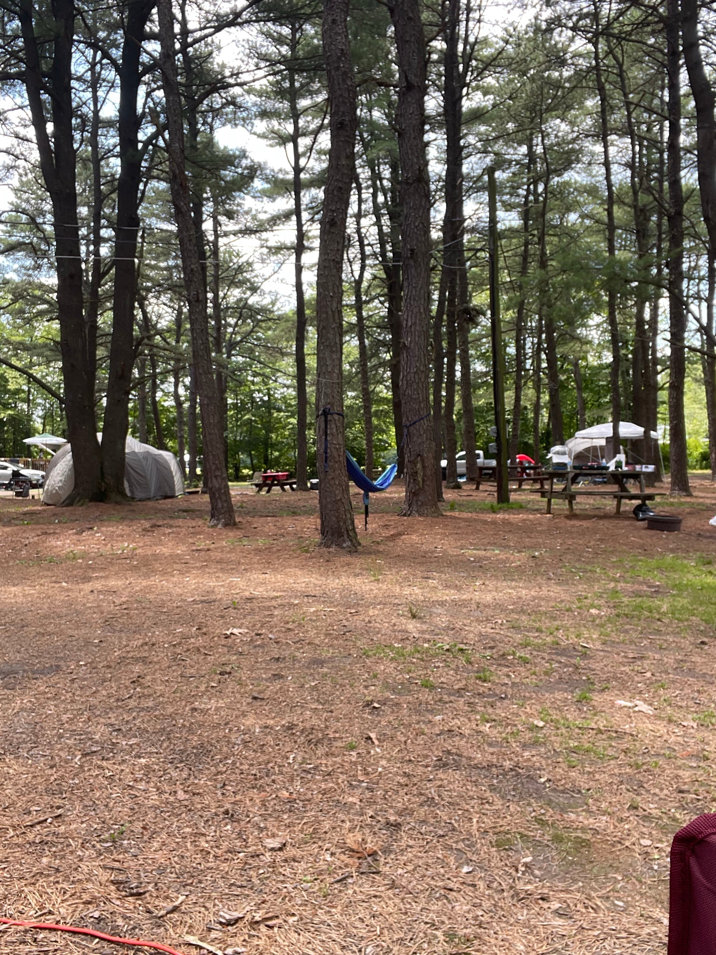 Camper submitted image from Evergreen Lake Campground - 4
