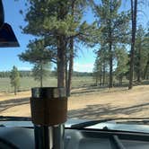 Review photo of Toms Best Spring Road - Dispersed Camping by Susan L., June 25, 2022