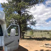 Review photo of Toms Best Spring Road - Dispersed Camping by Susan L., June 25, 2022