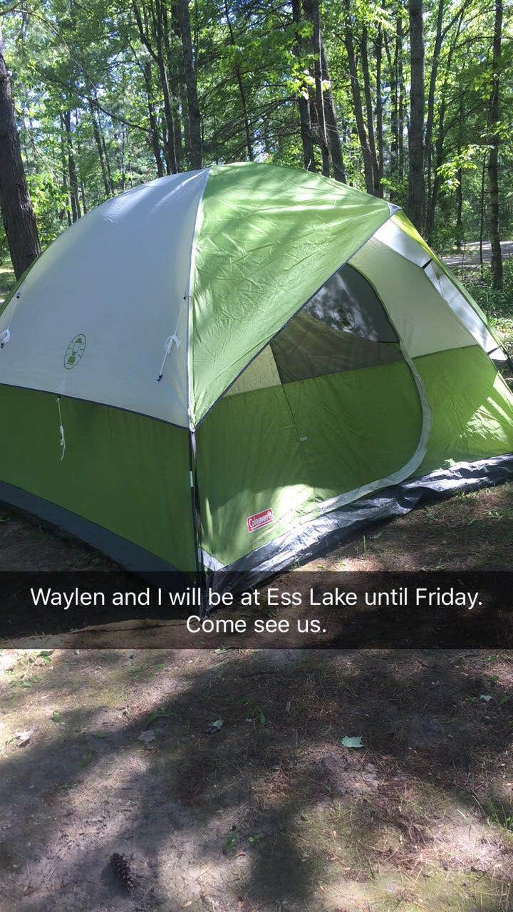 Camping near Long Lake County Park: Ess Lake State Forest Campground, Atlanta, Michigan
