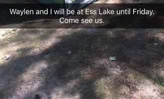 Camping near Emerick Park Campground: Ess Lake State Forest Campground, Atlanta, Michigan