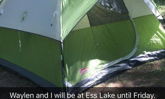 Camping near Canada Creek Ranch Club House: Ess Lake State Forest Campground, Atlanta, Michigan