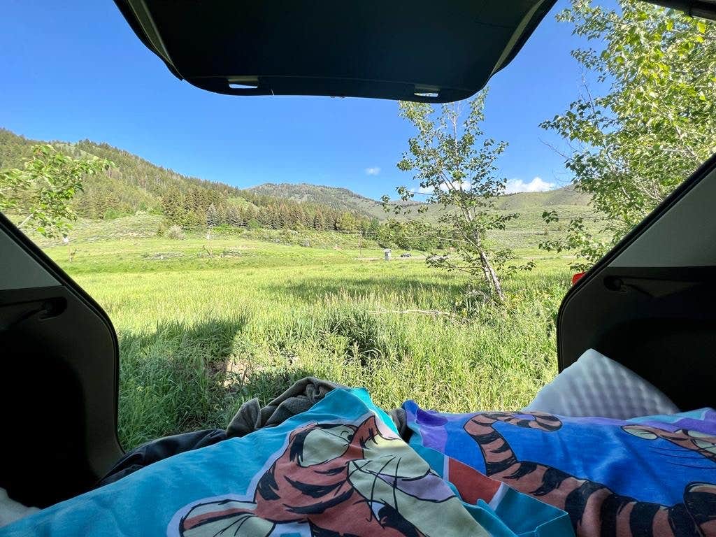 Camper submitted image from Meadows RV Park - 4