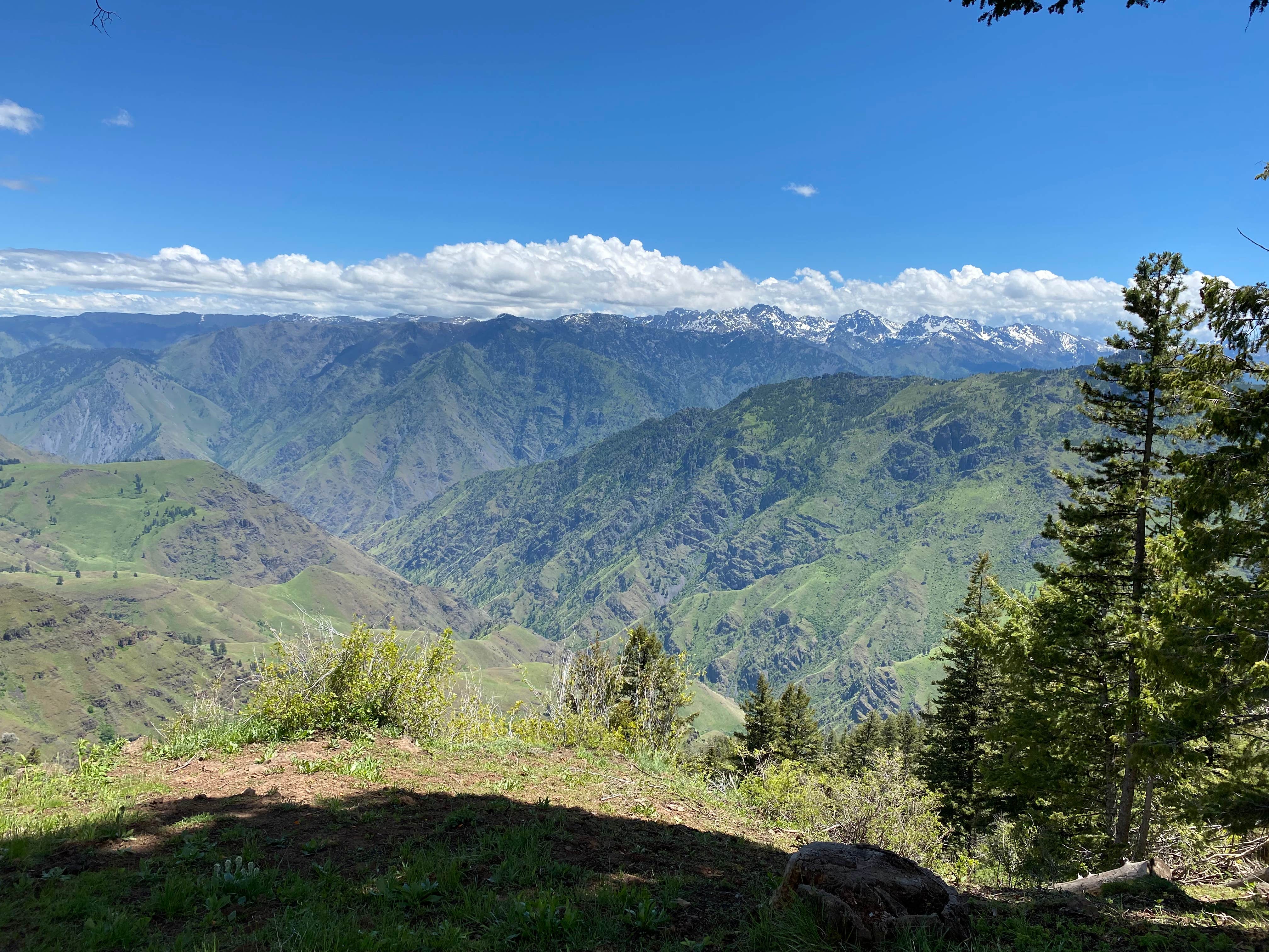 Camper-submitted photo at Saddle Creek Campground near Imnaha, OR