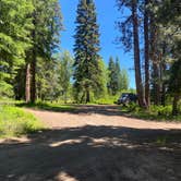 Review photo of McBride Campground by Cheryl M., June 25, 2022