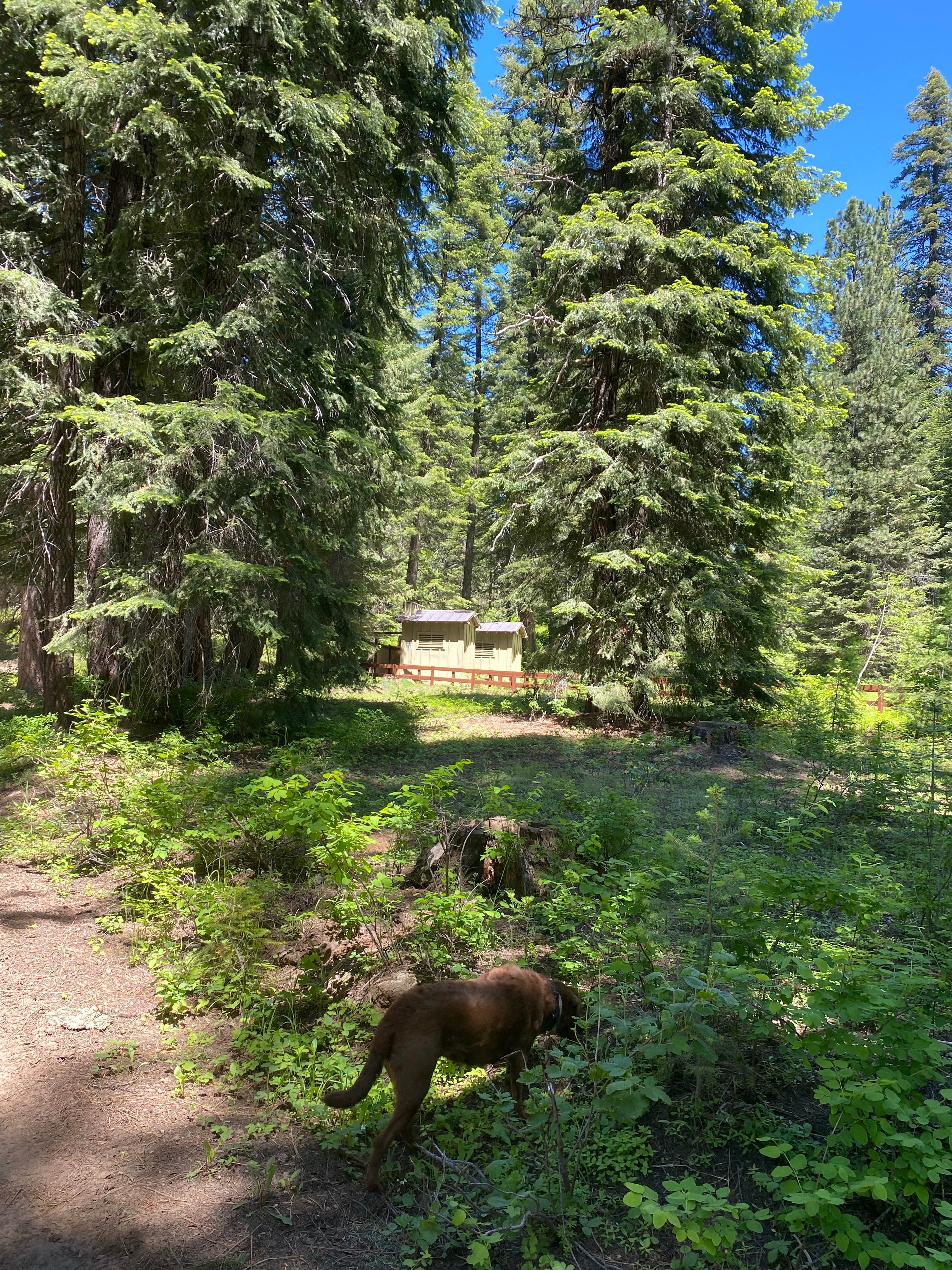 Camper-submitted photo at McBride Campground near Richland, OR