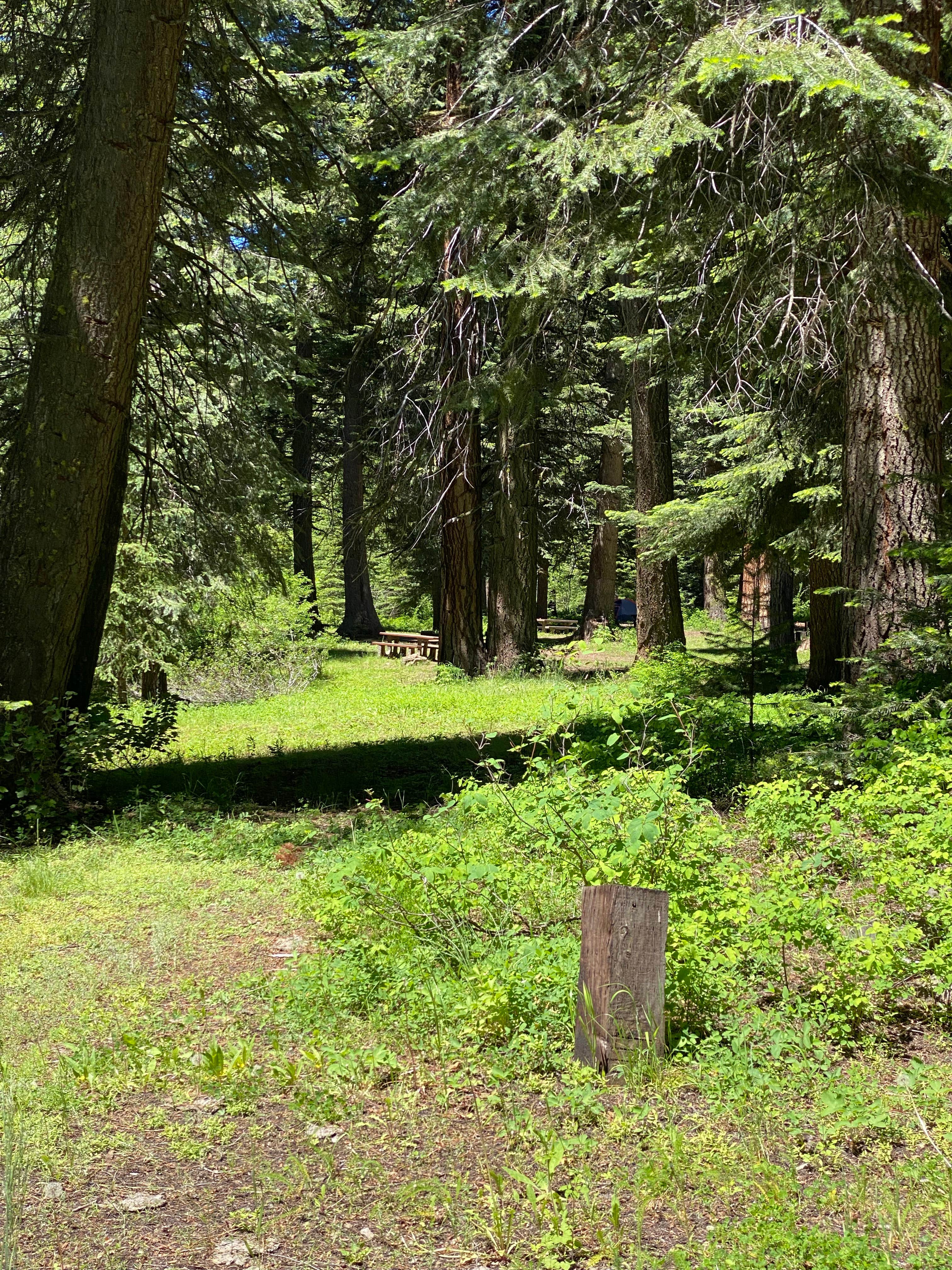 Camping near Ice Lake: McBride Campground, Halfway, Oregon