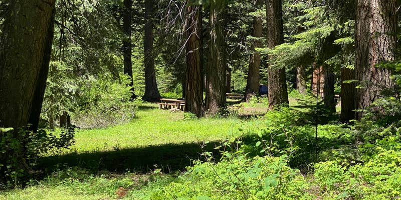 Camper submitted image from McBride Campground