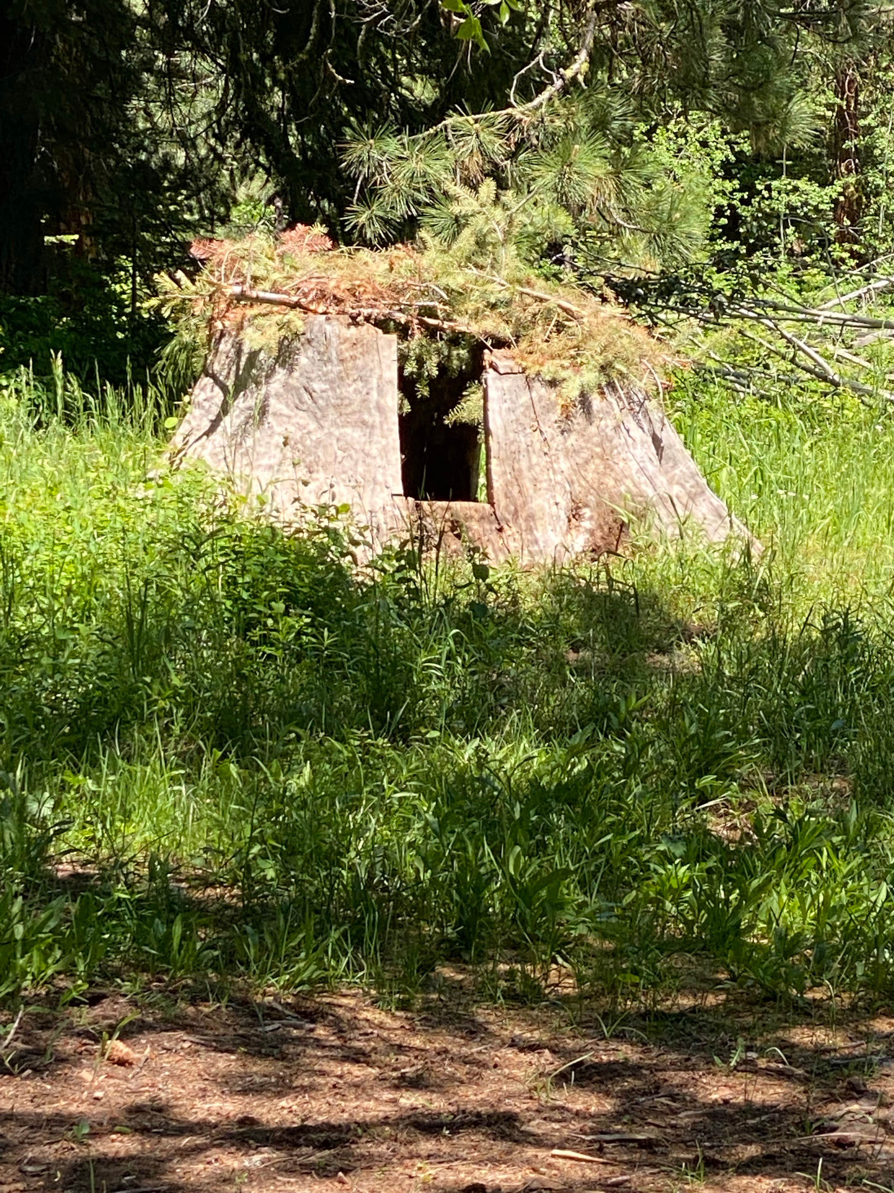 Camper-submitted photo at McBride Campground near Richland, OR