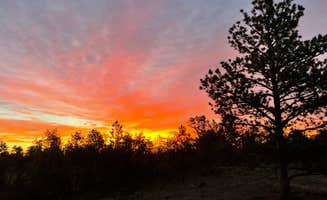 Izzy T.'s photo of a dispersed camping area at Upper Blaire Dispersed Camping near Laramie, WY
