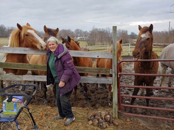 Camper-submitted photo at The Warriors of the Rainbow Horse Sanctuary, Inc. near La Russell, MO