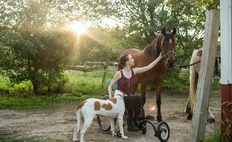 Candida H.'s photo of camping with pets at The Warriors of the Rainbow Horse Sanctuary, Inc. near Carthage, MO