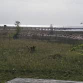 Review photo of Village Campground — Sleeping Bear Dunes National Lakeshore by Jason H., June 25, 2022