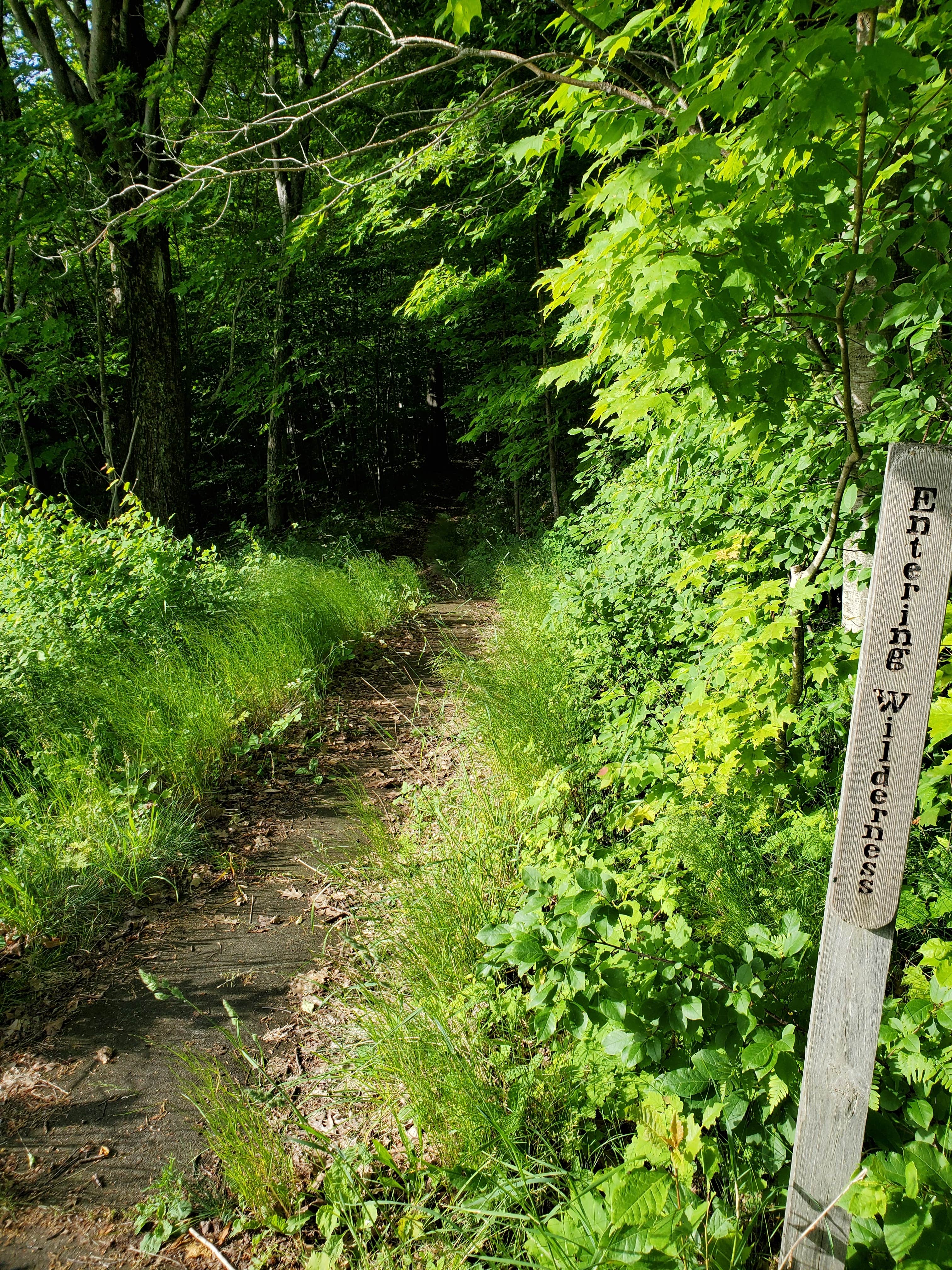 Camper-submitted photo at Village Campground — Sleeping Bear Dunes National Lakeshore near Maple City, MI