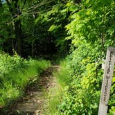 Review photo of Village Campground — Sleeping Bear Dunes National Lakeshore by Jason H., June 25, 2022