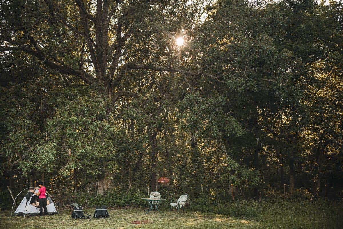 Camper-submitted photo at The Warriors of the Rainbow Horse Sanctuary, Inc. near La Russell, MO