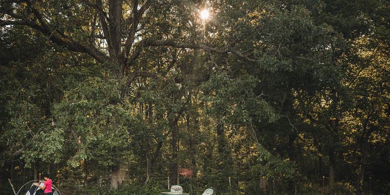 Camper submitted image from The Warriors of the Rainbow Horse Sanctuary, Inc.