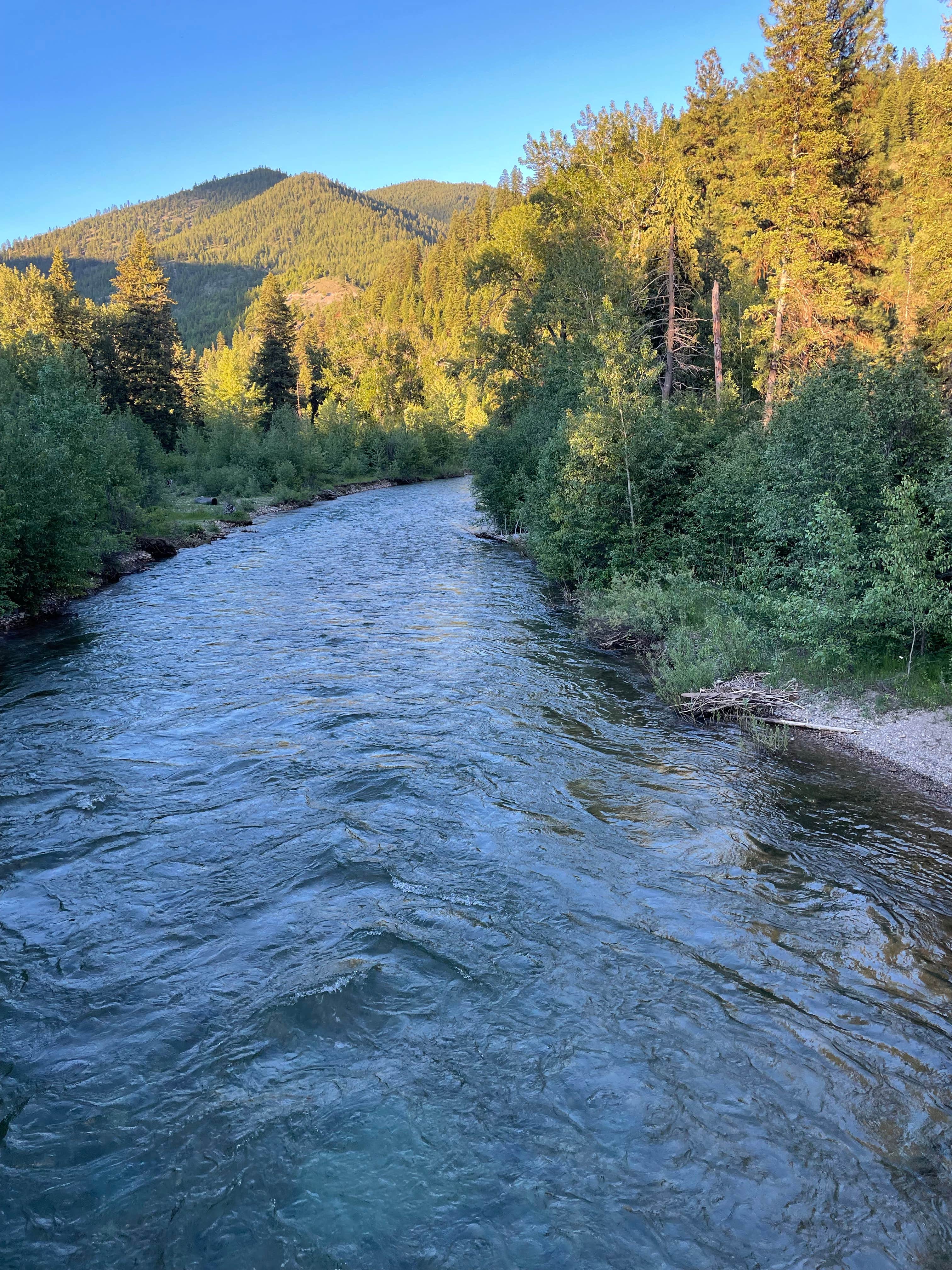 Camper submitted image from Forks Montana FWP - 3