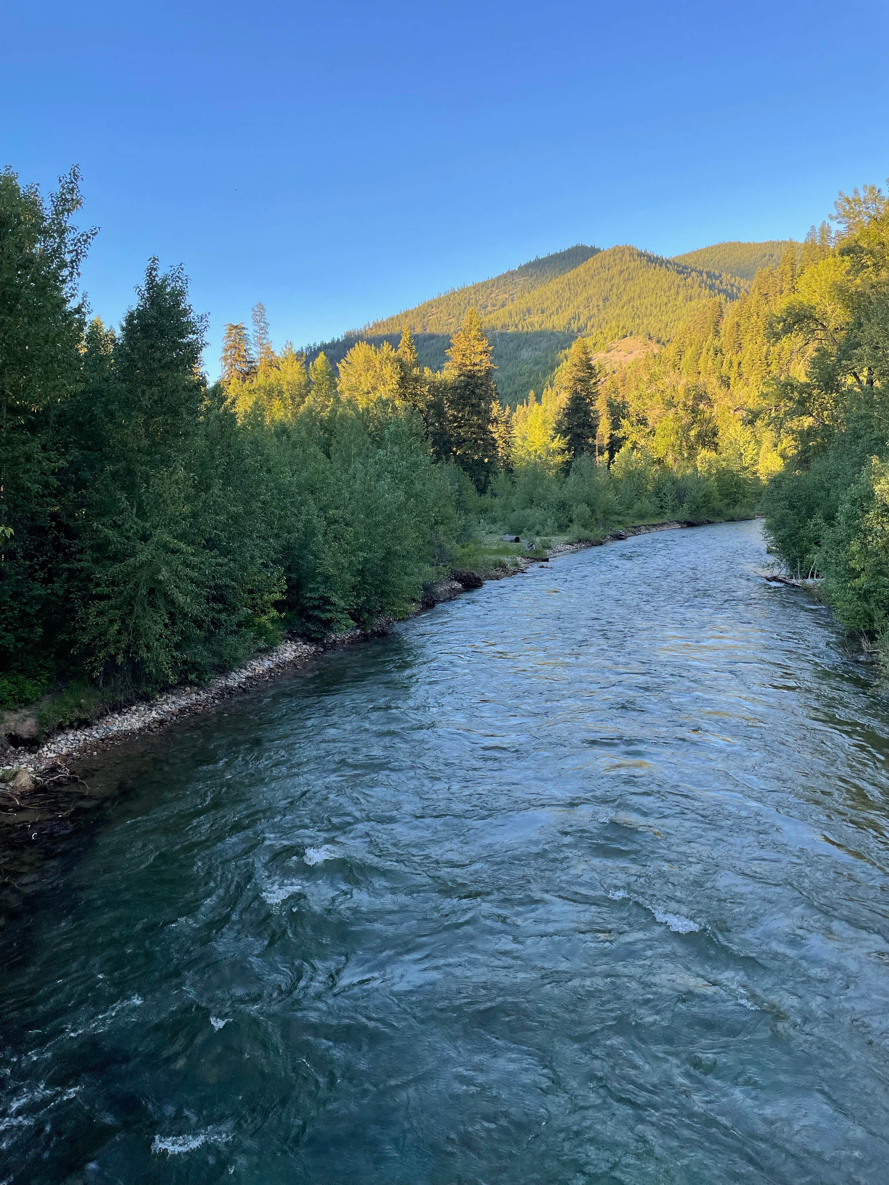 Camping near Quartz Flat Campground: Forks Montana FWP, Alberton, Montana