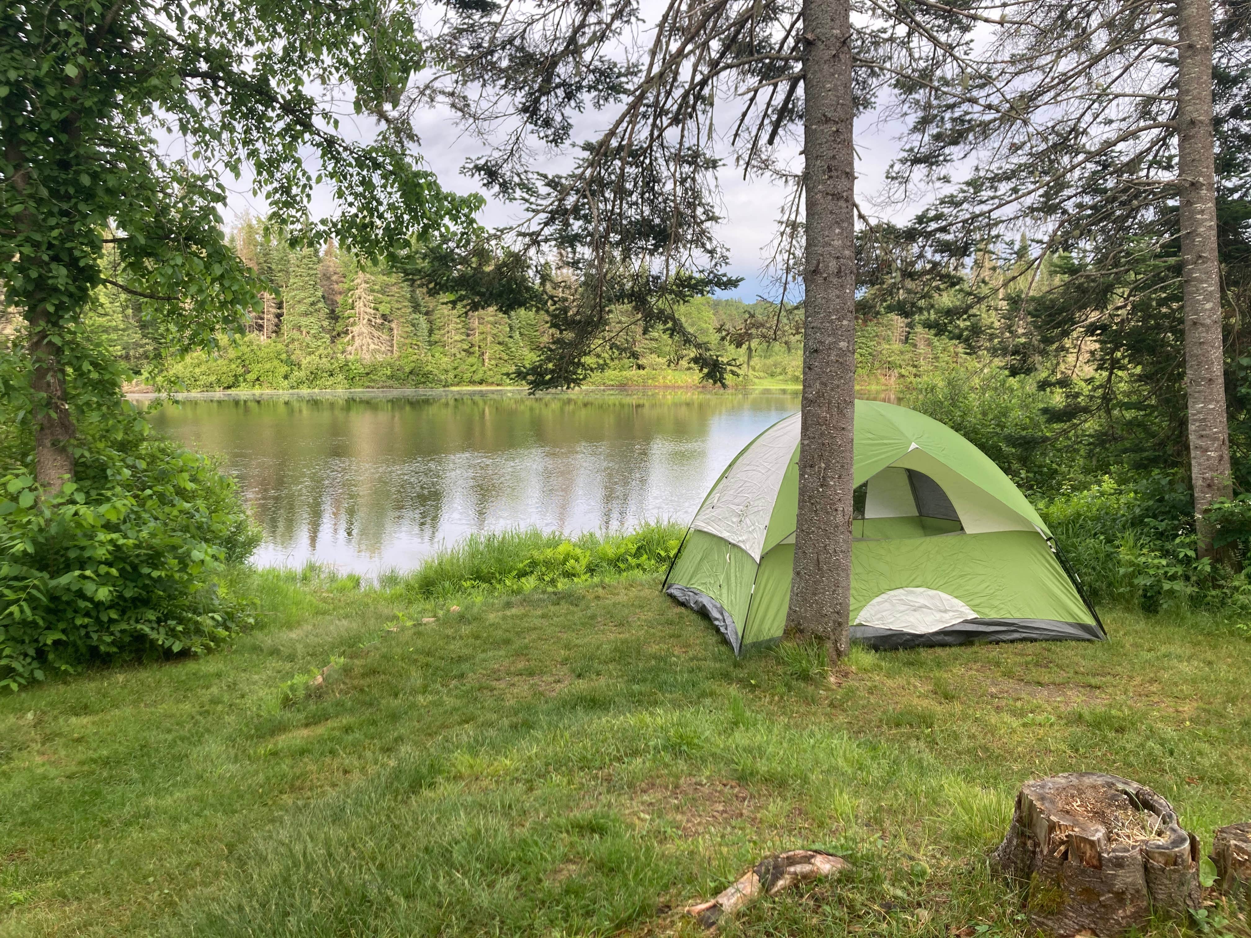 Kelly B.'s photo at Mollidgewock State Park Campground near Colebrook, NH