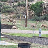 Review photo of Black Mesa State Park Campground by Valentina A., June 10, 2022