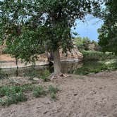 Review photo of Black Mesa State Park Campground by Valentina A., June 10, 2022